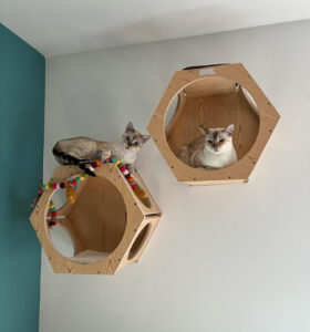 Catacabana_Boxes_1290